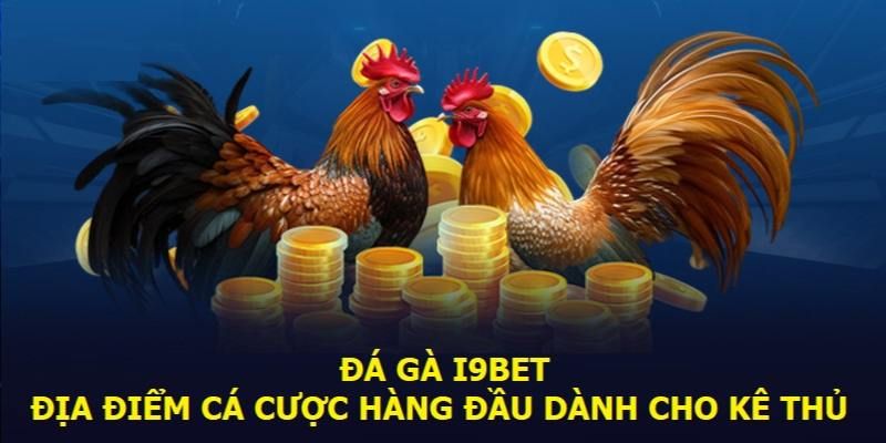 Tóm tắt thông tin chung về sân chơi nổi tiếng