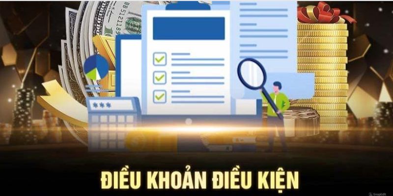 Thông tin sơ lược về điều kiện và điều khoản